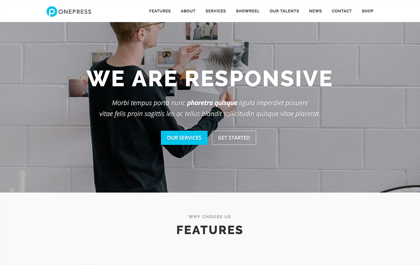 OnePress Financial WordPress Theme